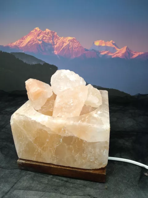LAMPADA DI SALE dell'Himalaya 100% certificata braciere sale rosa