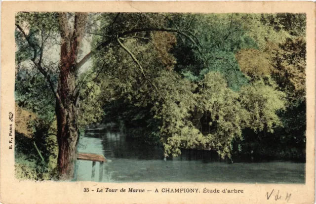 CPA Le Tour de Marne - A CHAMPIGNY École d'arbre (659664)