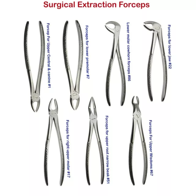 Dents Desserrement Forceps D'Extraction Set Instruments Chirurgie Dentaire Oral