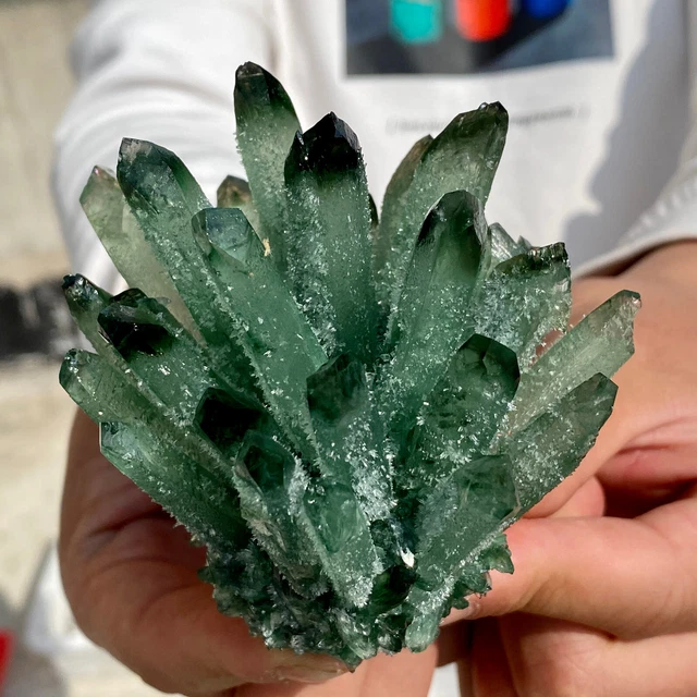 279G New Find Green Phantom Quartz Crystal Cluster Mineral Specimen Healing 15