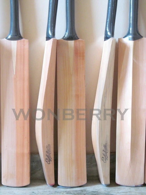 Batte de cricket prête à jouer Batte de cricket en saule anglais Grade 1...
