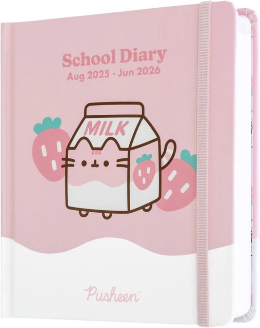 Agenda compatibile con DIARIO SCUOLA Teenace sfumato verde rosa bianco