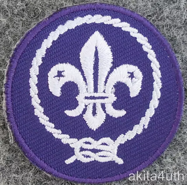 Boy Scouts of America - World Scouting Crest Patch - Cub, Webelo, Venturing BSA