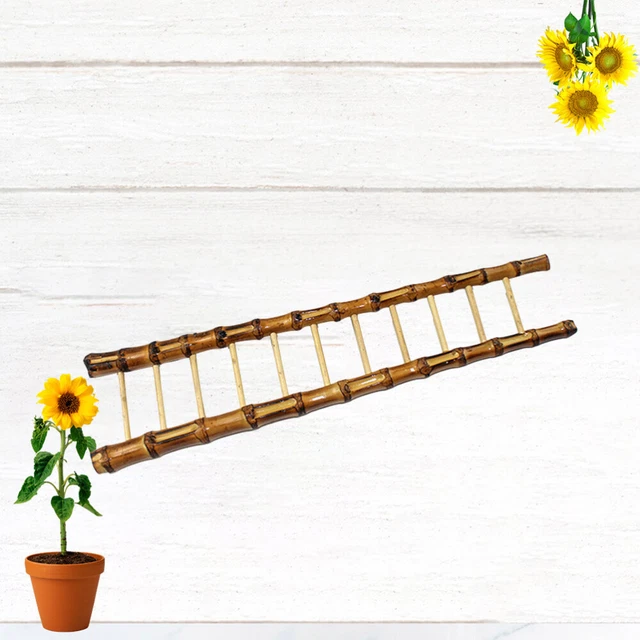 Chaise de Plage Pliante en Bois Miniature Échelle 1:12 Meubles de Maison de Poupée Styles Océan Ornement d'Artisanat pour Décoration de Bureau de Jardin