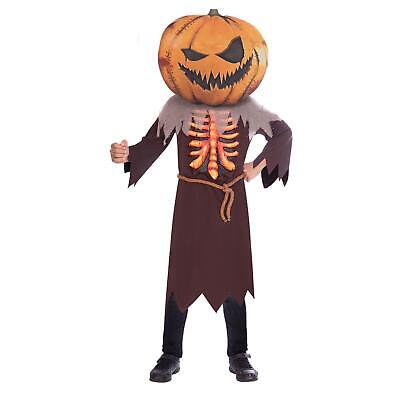 Children's Scary Pumpkin Big Head Halloween Trick Or Treat Funny Costume