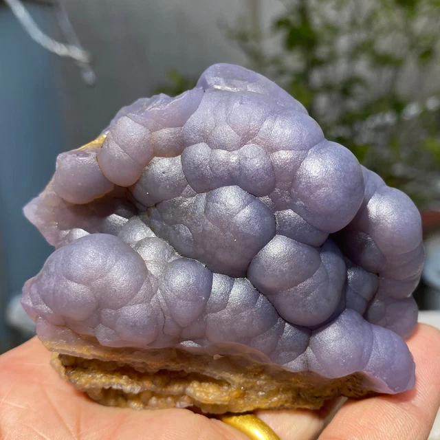 292g Translucent Blue Fluorite Stalactiform After Anhydrite Mineral Peru