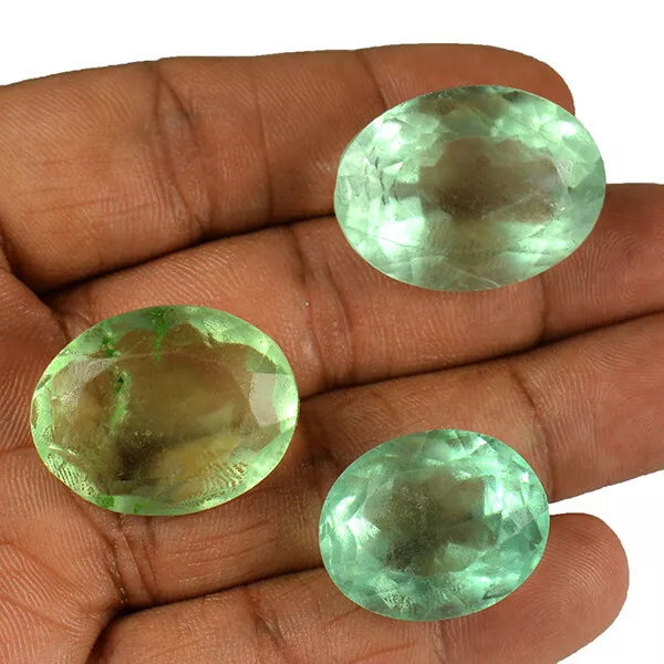 181 CT / 3 Pièces en Gros Lot Vert Naturel Fluorine Coupe Ovale Forme Libre