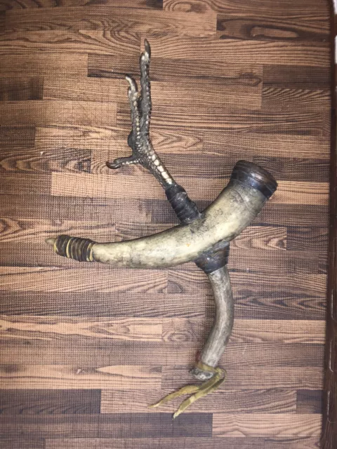 19th Century Plains Indian Turkey Foot Bovine Bull Horn Fetish Medicine Rattle