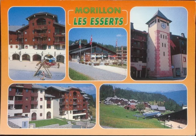 74 - cpsm - MORILLON - Les Esserts