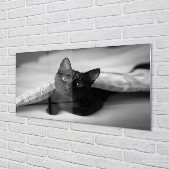 Tulup Cuadros en Vidrio 125x50 arte de la pared Gato bajo el edredón
