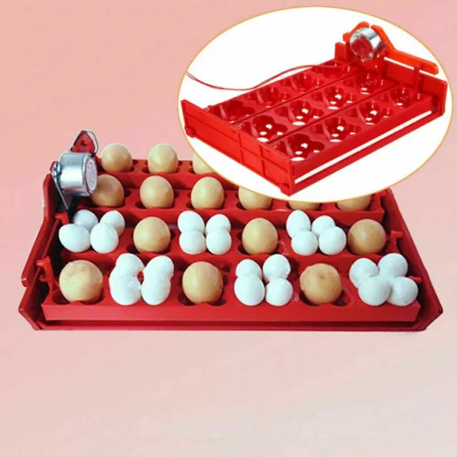 12 Chicken Eggs Turner For Automatic Quail Bird Duck Poultry Egg Incubator Tray