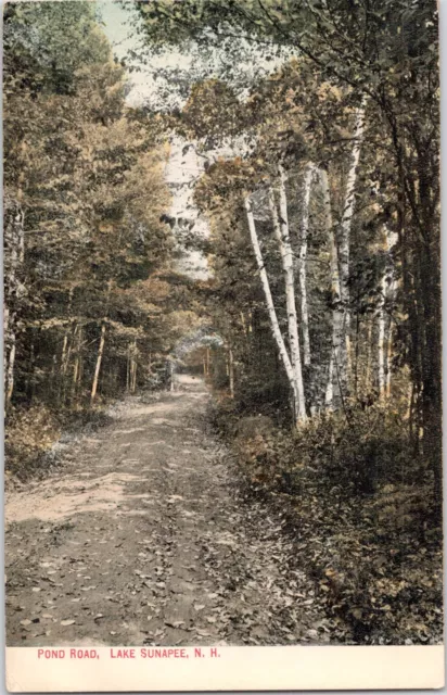 c 1910 Lake Sunapee, New Hampshire Pond Road Antique Postcard Beautiful Road