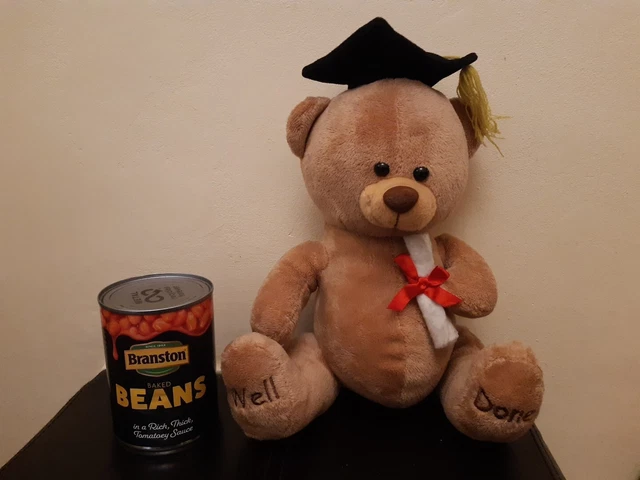 Well Done Brown Bear