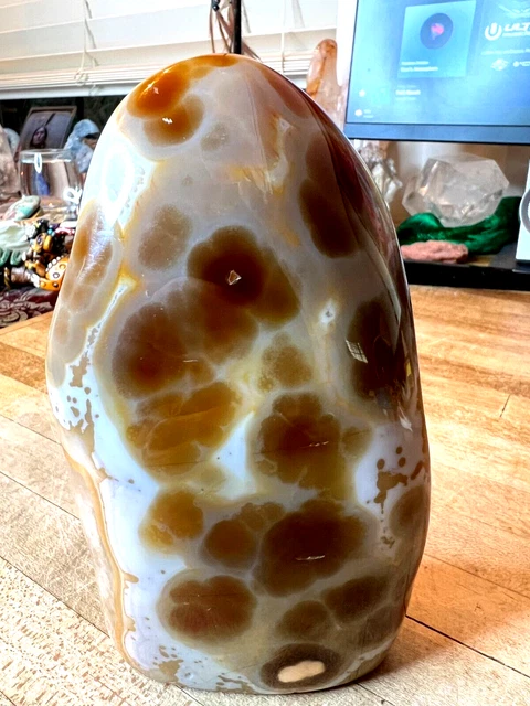 Carnelian Crystal Gemstone Medium Size Polished Rock Geode Spacemen 556