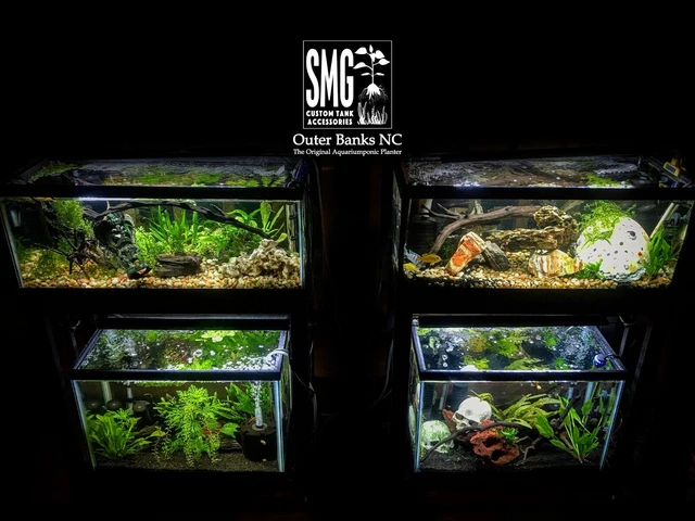 2 Glass Box Aquatics hang on the inside Aquaponic Planter - Aquarium Fish Tank 2