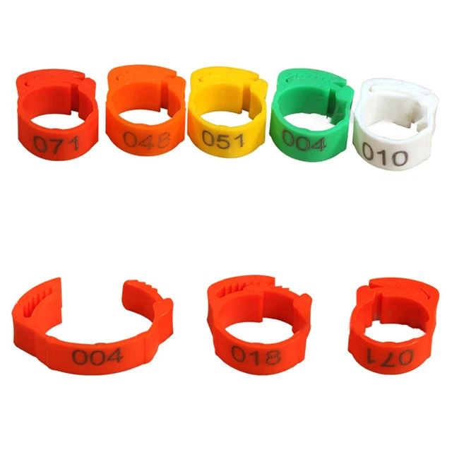 Anillos para patas de pato 100 piezas 17,8 cmx2,8 cmx0,4 cm 6 colores tamaño ajustable pollo