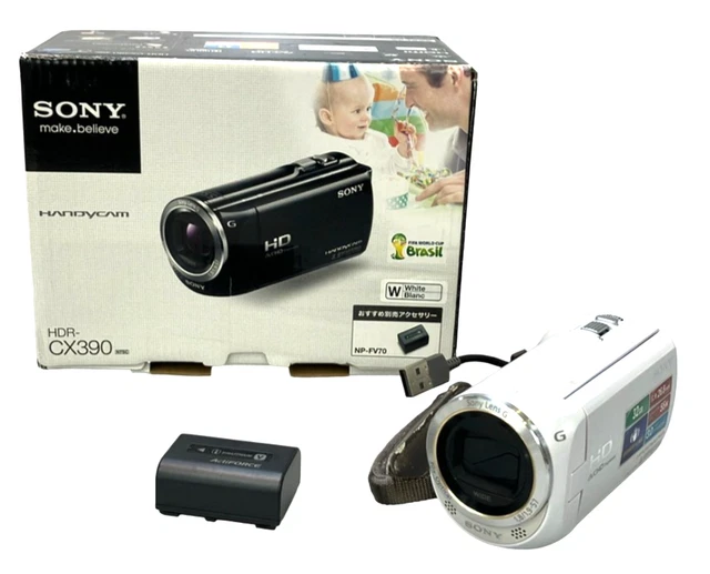 SONY HDR-CX390 HANDYCAM Camcorder 32GB Full HD NP-FV50 Battery Box