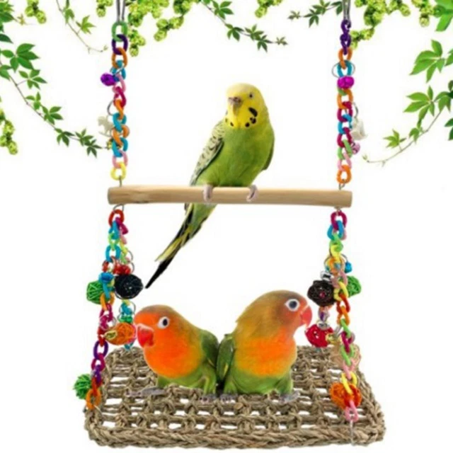 Perico juguete roer accesorios de juego columpio de pájaro columpio de loros