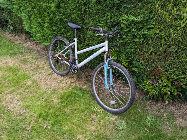 trax breeze bike