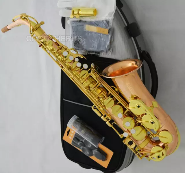 Unlacquer Phosphor copper Alto Saxophone MK VI Type ALTO Sax Corrosion carving