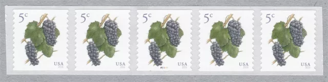 PNC5 5c Grapes SA (16) P111111 US 5038 MNH F-VF