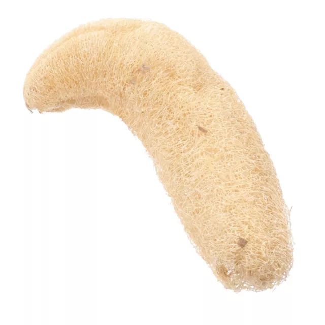 Fournitures De Bain En Luffa Naturel Épurateur Nettoyage Éponge Scrubber