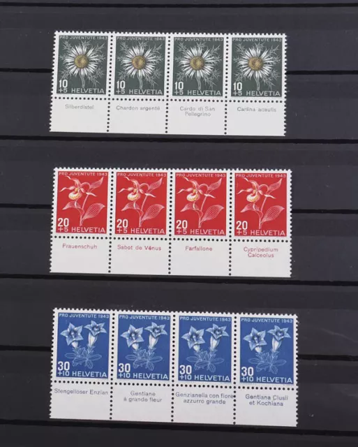 Schweiz Pro Juventute - Tabstreifen 1943 bis 1982 TOP Sammlung postfrisch 2