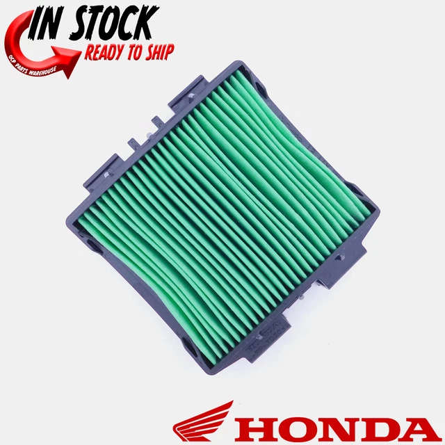 Honda CRF 300 L Rally 2021-2022 Radiator Cover Right (19034-K1T-E100