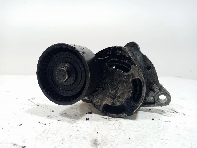 galet tendeur pour RENAULT ESPACE IV 2.2 DCI (JK0H) 2002 1970176