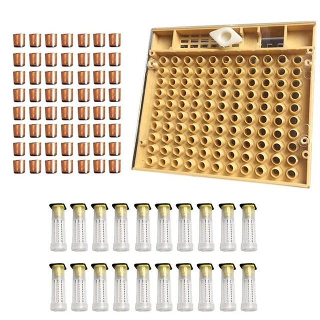 Kit de taza de plástico para crianza de reina 120 piezas herramienta de apicultura caja de cultivo de células de abeja