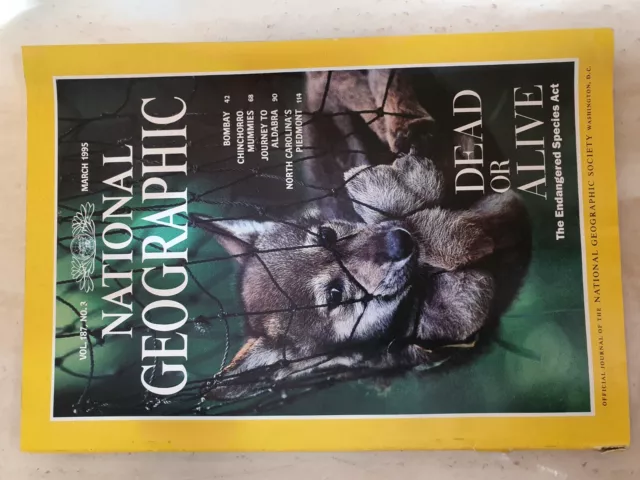National Geographic Magazine Leather HOLDERS SLEEVES $9.99 per year or 2  Cases