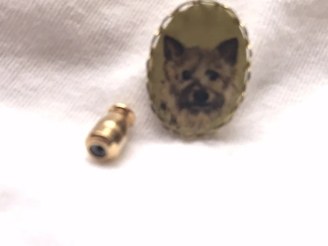 Norwich vintage handpainted tie tac