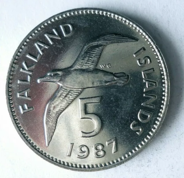 1987 FALKLAND ISLANDS 5 PENCE - AU/UNC - Scarce Coin - Free Ship - Bin #ZZZ