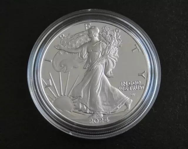 2024 1 Oz American Silver Eagle Coin Fine