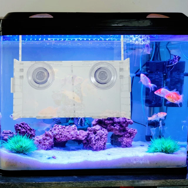 Acrylic Isolation Fish Tank Box Acclimation Hatchery Incubator
