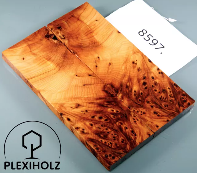 Thuja Maser Griffschalen stabilisiert | 120x40x8 | plexiholz | burl scales |8597