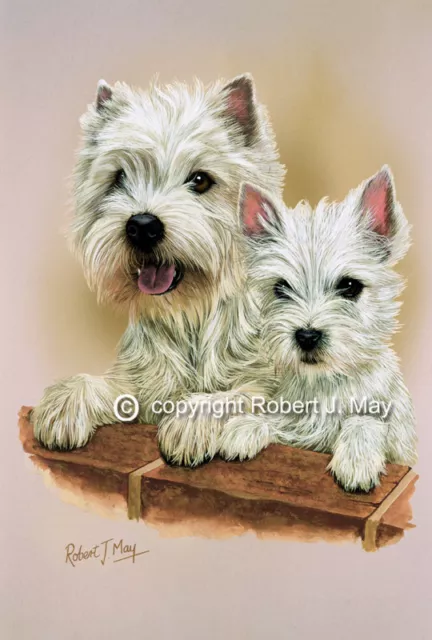 West Highland Terrier & Pup Print by Robert May