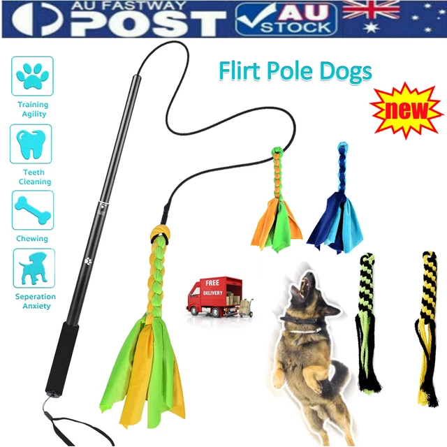 Dog flirt pole australia sale