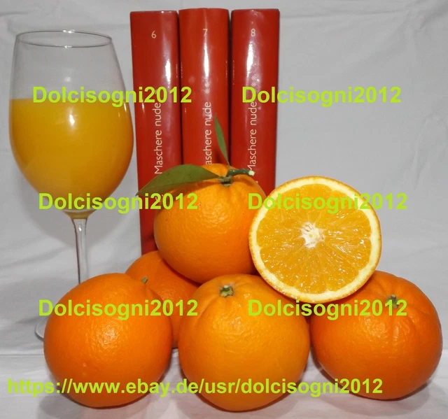 FRISCHE BLONDORANGEN NAVEL aus Sizilien Kg. 5-10-15-20-25-28 - für Saft ...