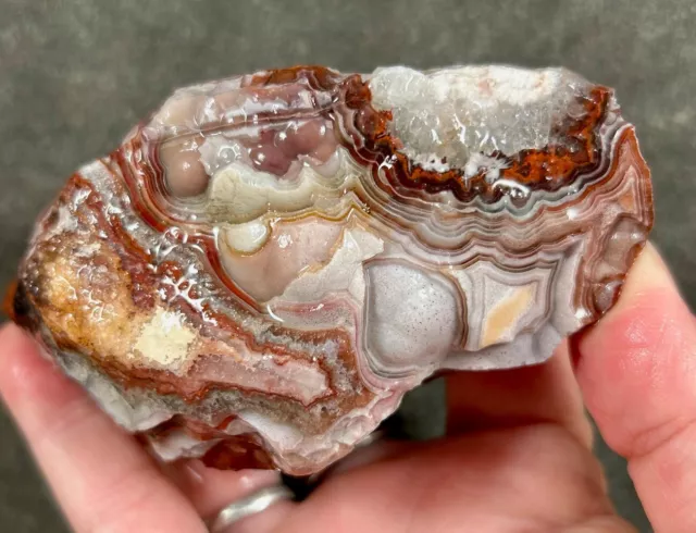 Laguna Lace Agate with Botryoidal Rough - Mexico!