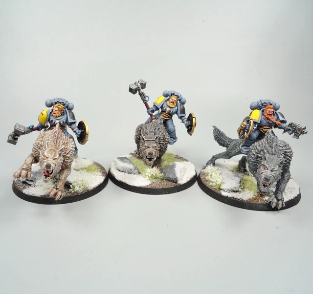 Warhammer 40k Army Space Marines Space Wolves Thunderwolf Cavalry Painted Warhammer 40k Army Space Marines Space Wolves Thunderwolf Cavalry Painted