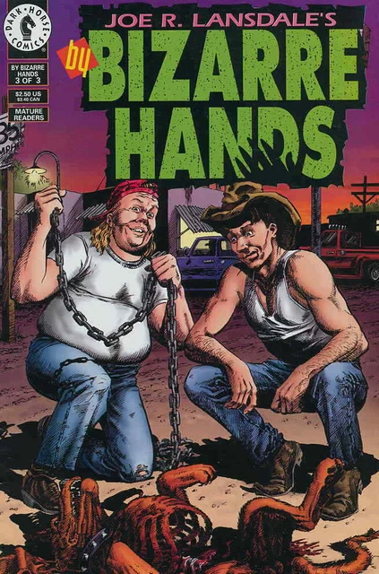 By Bizarre Hands #3 Joe R. Lansdale's Dark Horse Comics June Jun 1994 (FNVF)