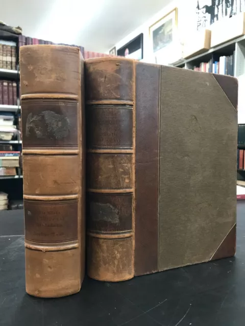 1911 El mundo como voluntad y representación de Arthur Schopenhauer - 2 vols.