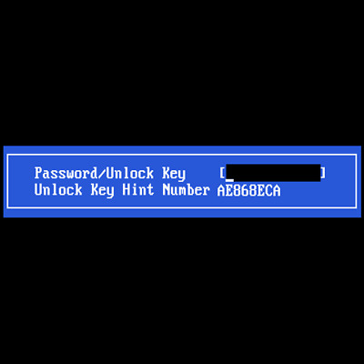 Getac UNLOCK KEY HINT NUMBER, Password/Unlock Key. B300, V110, X500. FAST!!!