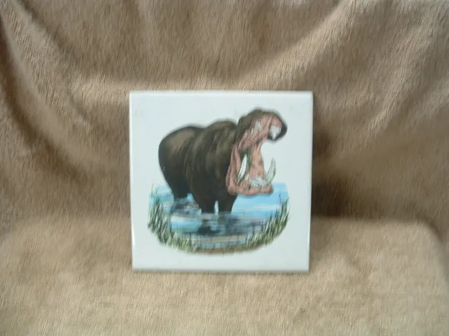 Hand Painted By Screencraft Tile Trivets 4 Piece Set Wild Jungle Animals