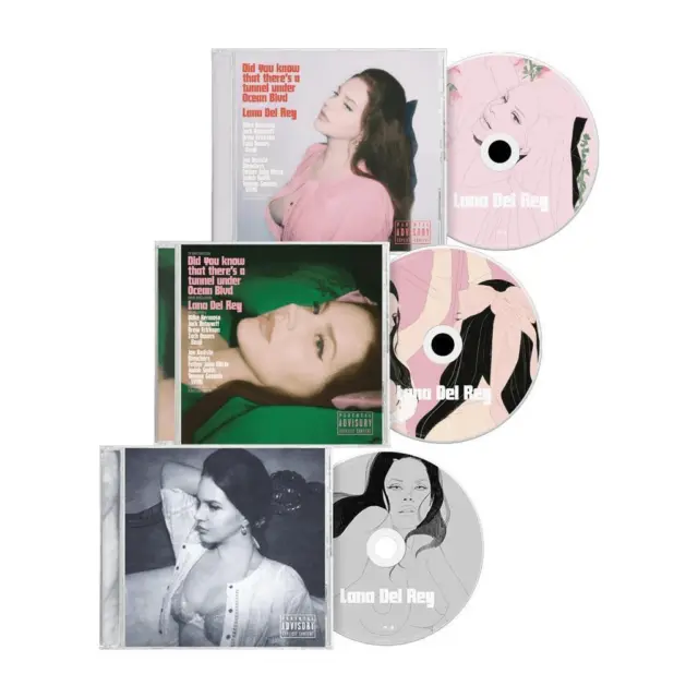 LANA DEL REY Did You Know That There's A Tunnel Vinyl Alternative Cover In  Hand