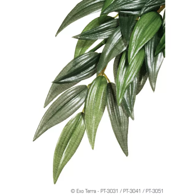 Exo Terra Terrarien-Pflanze Ruscus, diverse Größen, NEU