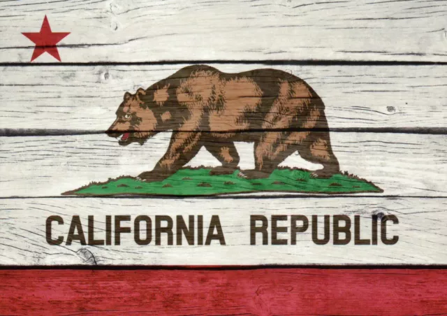 California State Flag, Grizzly Bear, Red Star, CA Republic, Green Grass Postcard