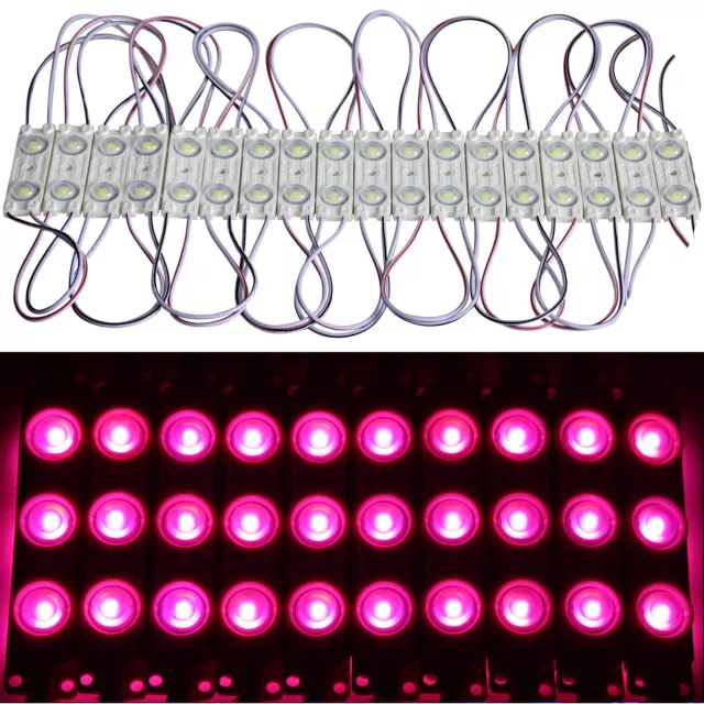 20X 2er LED Module Rose 12V Rohs Technique de Publicité Éclairage Enseigne