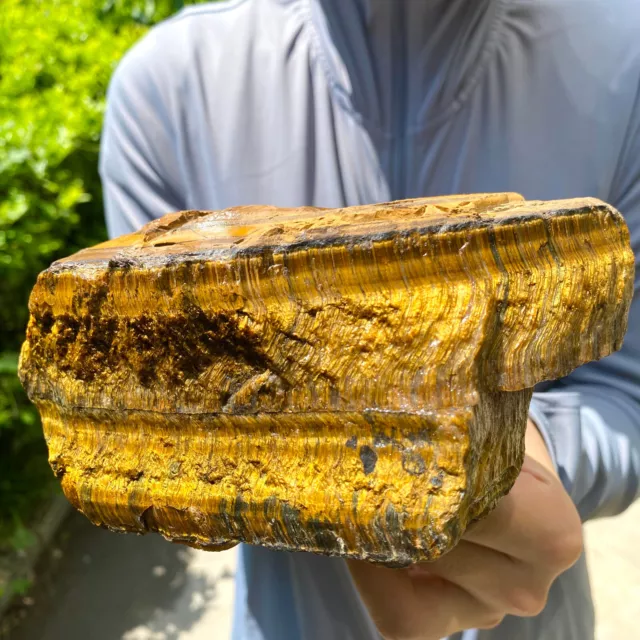 3.5LB Natural tiger's Eye rough raw stone rock specimrn madagescar